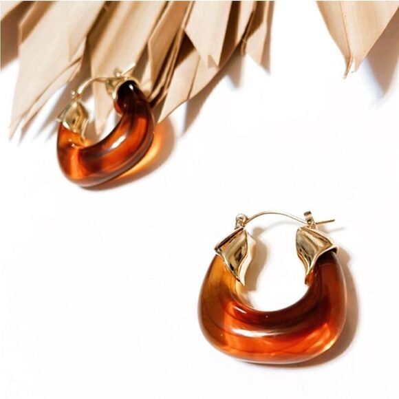 Brown Hoop Earrings N1436 - Picture 1 of 5